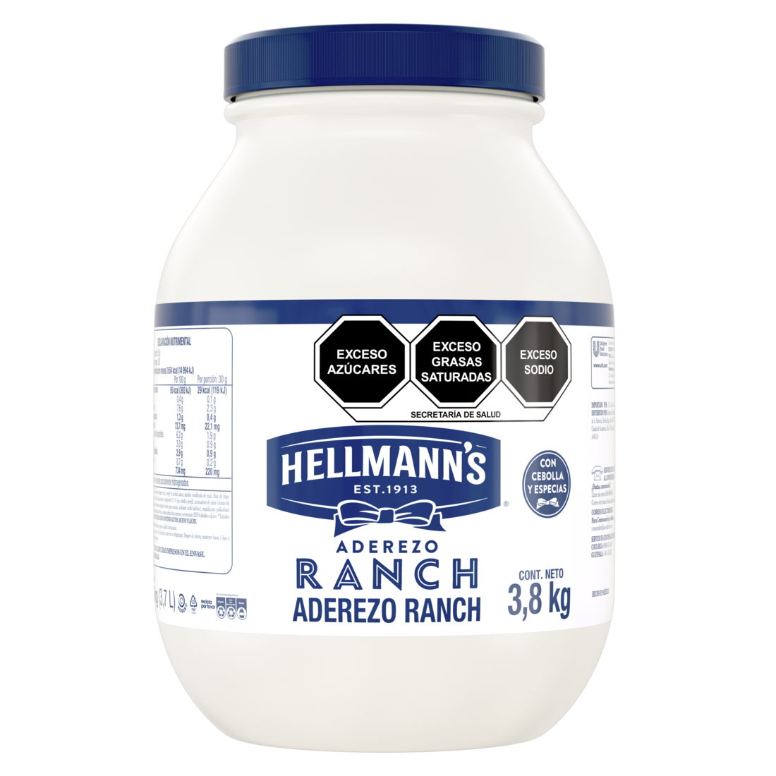 Hellmann's® Aderezo Ranch Economy 3,8 kg, ideal para dips
