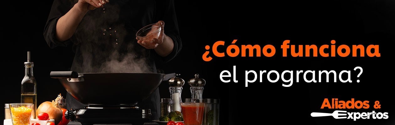Cómo funciona el programa