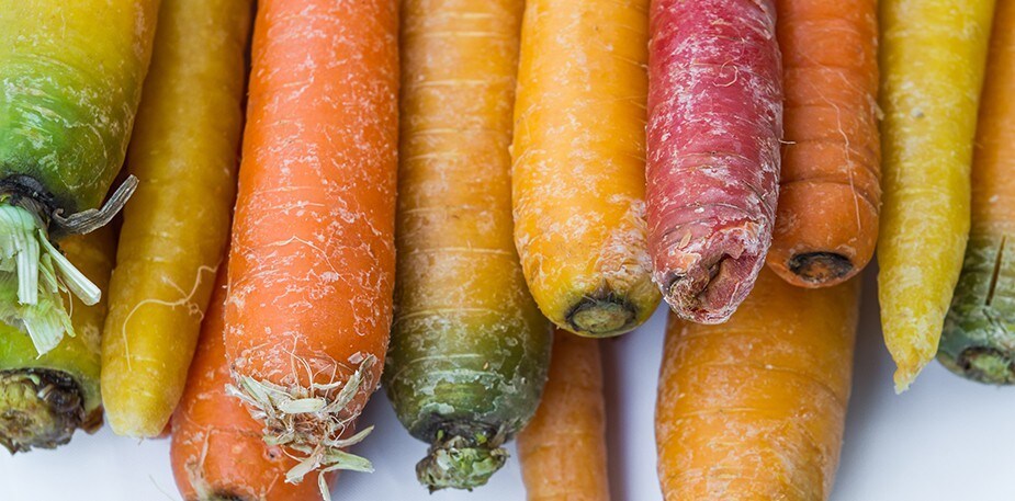 Del huerto a la mesa