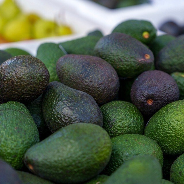 Aguacate: conoce todo sobre este ingrediente infaltable de la comida mexicana