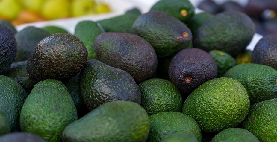Aguacate: conoce todo sobre este ingrediente infaltable de la comida mexicana