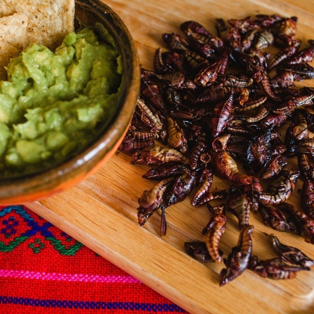 5 botanas ancestrales para dar identidad a tu negocio