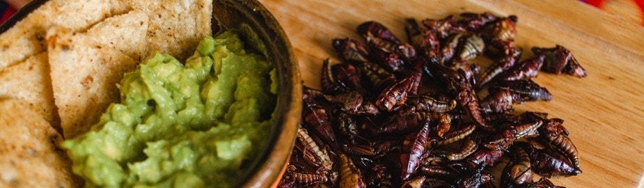 5 botanas ancestrales para dar identidad a tu negocio