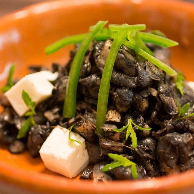 Huitlacoche salteado con queso fresco de cabra y rodajas de jalapeño servido en un plato naranja. Huitlacoche salteado con queso fresco de cabra y rodajas de jalapeño servido en un plato naranja.