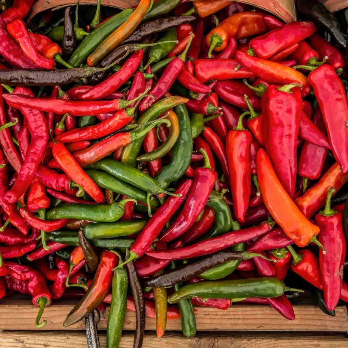 Chiles mexicanos, en el corazón de la cocina tradicional