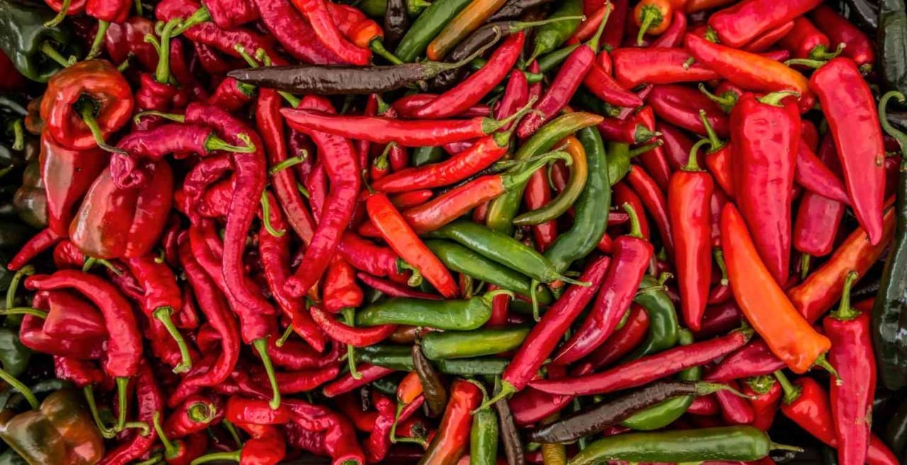 Chiles mexicanos, en el corazón de la cocina tradicional