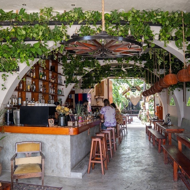 Restaurante con comensales sentados en banquetas en la barra. También hay mesas con bancos, y muchas plantas e iluminación natural. Restaurante con comensales sentados en banquetas en la barra. También hay mesas con bancos, y muchas plantas e iluminación natural.