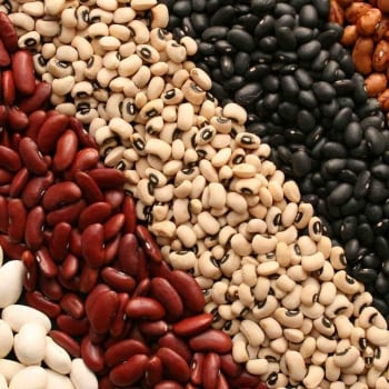 Variedad de frijoles dispuestos en franjas diagonales, entre los que hay frijol bayo, negro, pinto, rojo y blanco. Variedad de frijoles dispuestos en franjas diagonales, entre los que hay frijol bayo, negro, pinto, rojo y blanco.