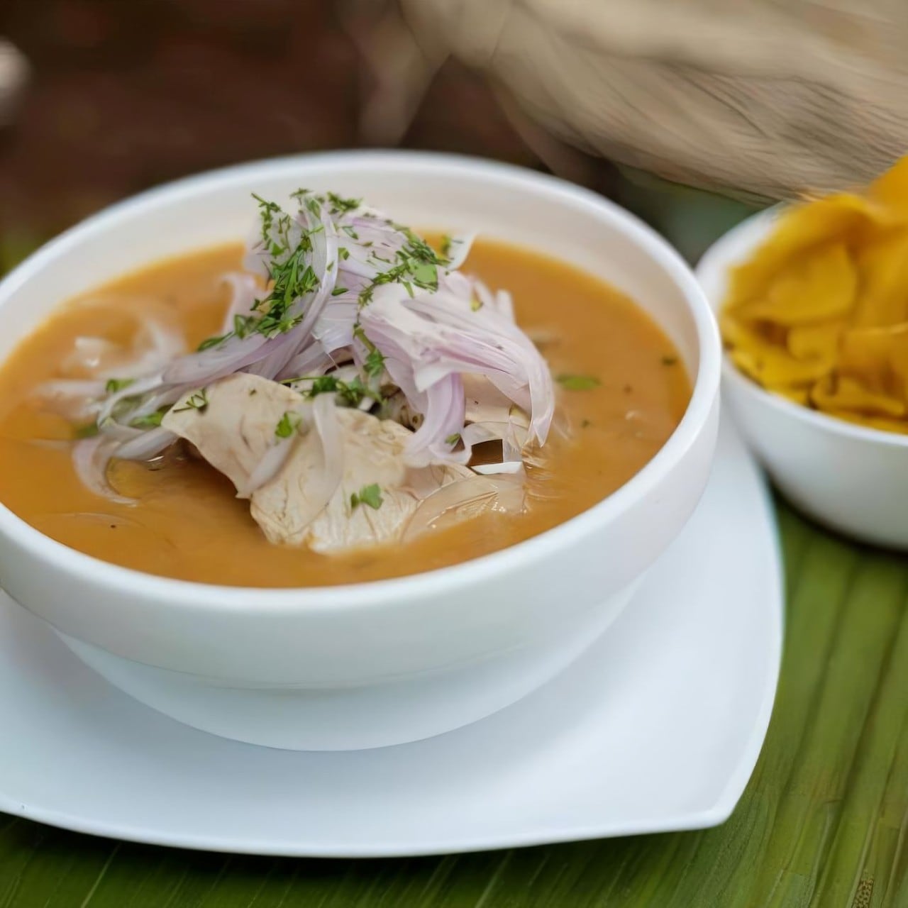 Plato de encebollado - sopa de pescado, yuca y cebolla encurtida. Gastronomia cultural del Ecuador. Plato de encebollado - sopa de pescado, yuca y cebolla encurtida. Gastronomia cultural del Ecuador.