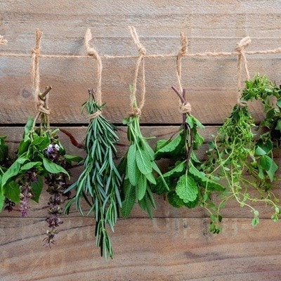 Assorted hanging herbs ,parsley ,oregano,mint,sage,rosemary,sweet basil,holy basil,  and thyme for seasoning concept on rustic old wooden background.