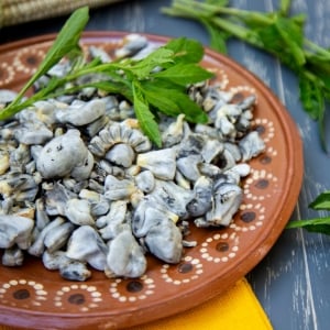 Granos de huitlacoche, de color grisáceo, servidos en un plato típico mexicano. Por arriba y en la mesa también hay ramas de epazote fresco.