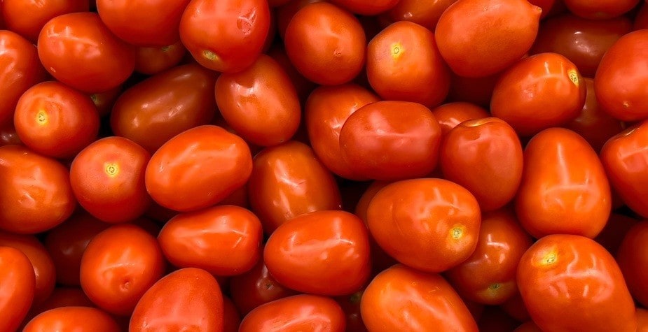 Jitomate: guía completa sobre este ingrediente esencial de la cocina mexicana
