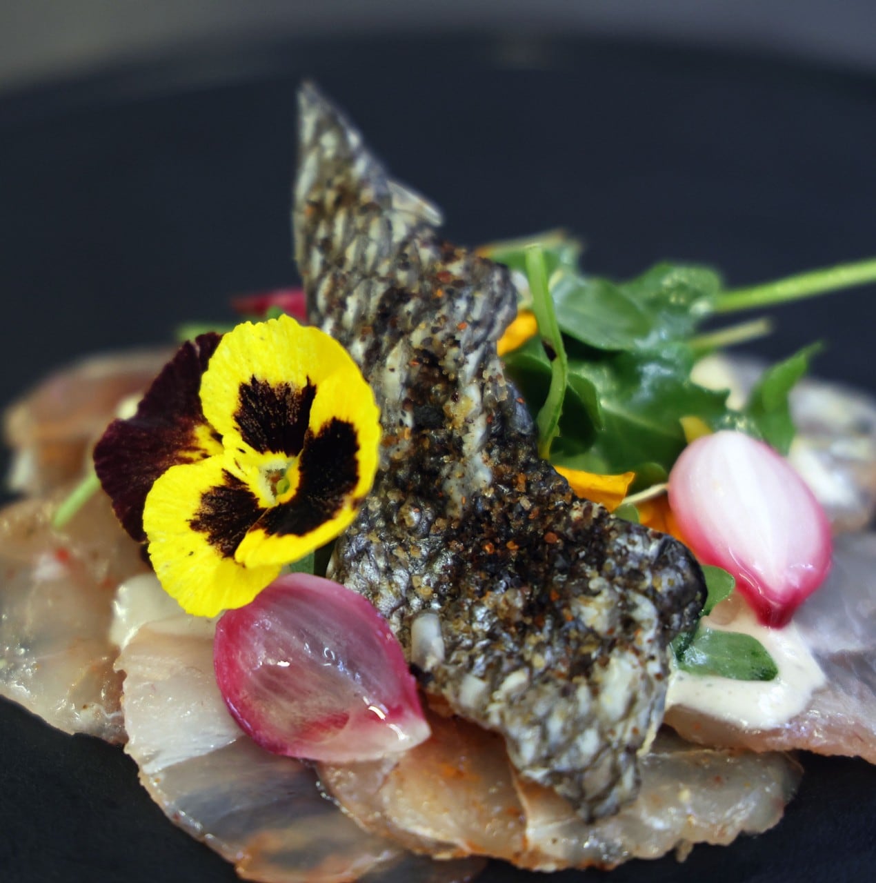 Descarga nuestra infografía