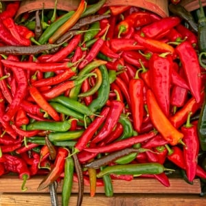 Variedad de chiles alargados, de color rojo, verde y morado, acomodados en un cajón de madera.