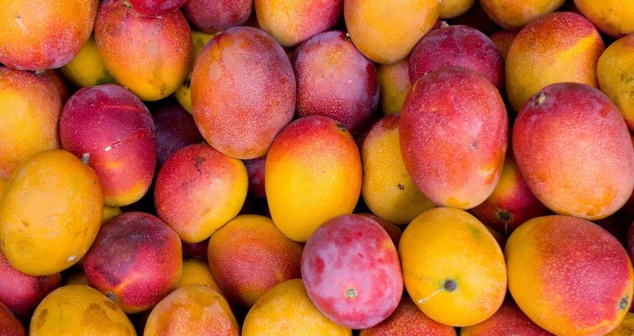 Productos de temporada: Maximiza la experiencia y reduce costos en el restaurante