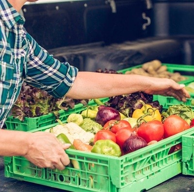 Close up shot of boxes full of different kind of fresh vegetables.