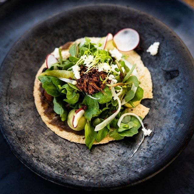 Dos manos toman una planta de cilantro, uno de los quelites más populares de México. Dos manos toman una planta de cilantro, uno de los quelites más populares de México.